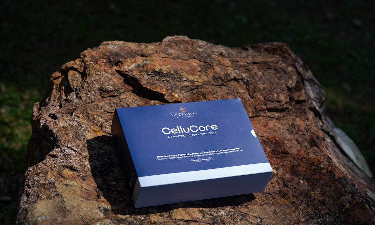 Cellucore box rests on a textured rock.