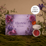  Abonnement Beauty Box Cohorted